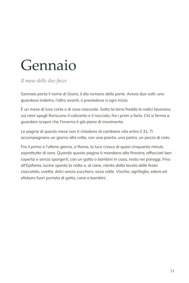 Apertura di gennaio: «Il mese delle due facce», dedicato a Giano