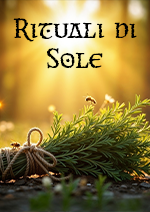 Libro 7